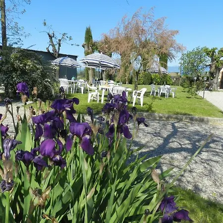 Rosa Baccarat 5 * Lazise